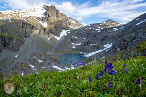 Chugach Mountains, Alaska - Alaska Guide