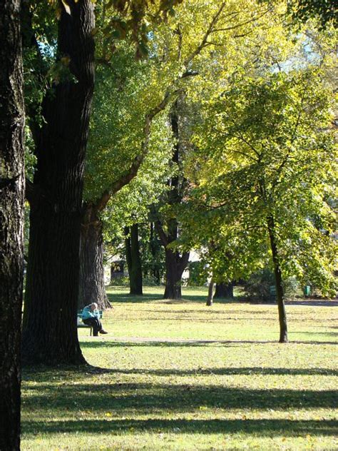 Zielona przestrzeń Garnek pl