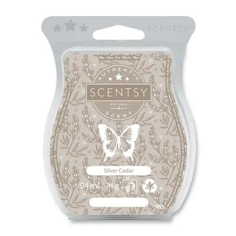 Silver Cedar Scentsy Bar The Candle Boutique Scentsy Uk Consultant