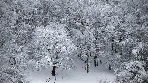 طبیعت زیبای برفی جنگل های ارسباران