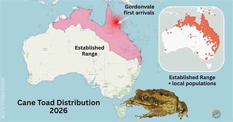 Cane Toad Map Australia - Current Range