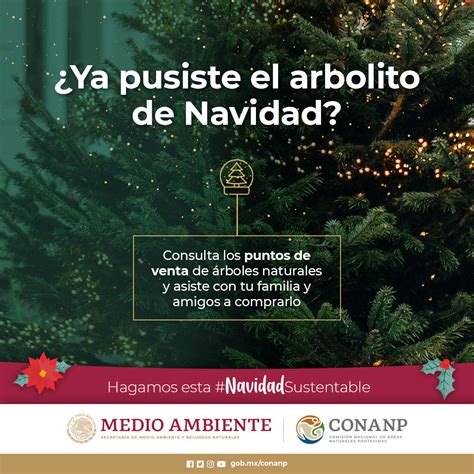 CONANP on Twitter Todavía no tienes tu arbolito de Navidad No te