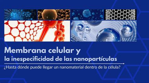 Membrana celular Inespecificidad nanopartículas GABRIEL EDUARDO BARUA