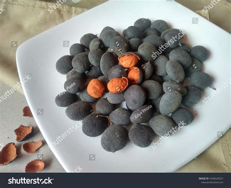 Keranji Asian Fruits Scientific Name Dialium Stock Photo