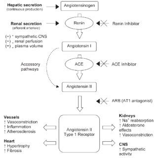 Oral Renin Inhibitors In Clinical Practice A Perspective Review