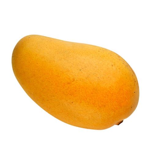 mango  kilogram banganapalli mangoes  coimbatore id