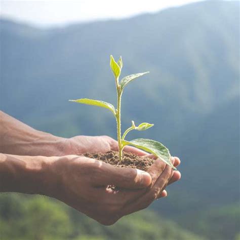 Actividades Ecológicas Para Realizar Con Niños Beeco