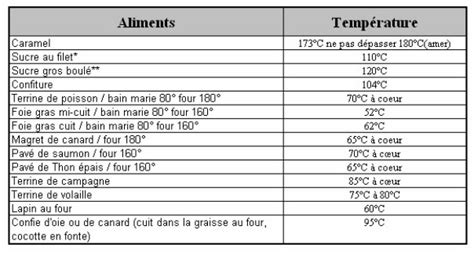 Sonde De Cuisson Quoi A Sert