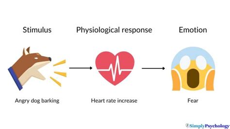 James Lange Theory Of Emotion Definition And Examples