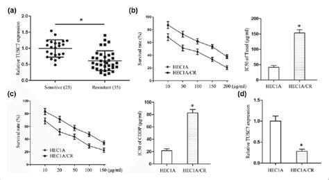 Tusc7 Low Expression Was Closely Related To Chemotherapy Resistance Of