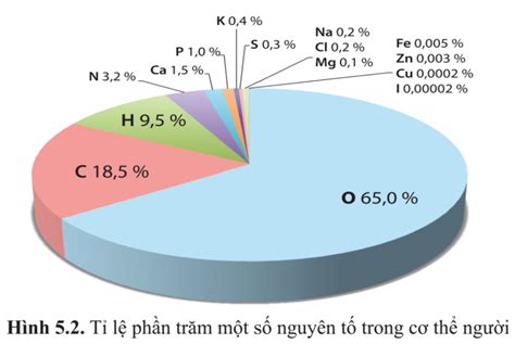 Lý thuyết các nguyên tố hóa học trong tế bào sinh 10