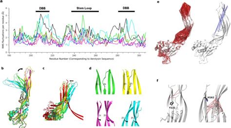 Structural Physicochemical And Dynamic Features Conserved Within The