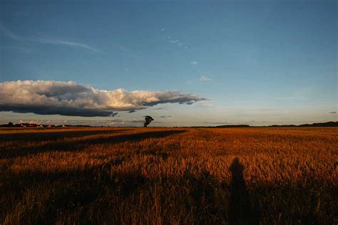 Meteo Friuli Cielo Variabile Con Probabili Rovesci Sui Monti E In