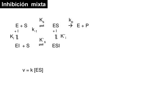 Subsaturación saturación Vmax v Vmax 2 Km1 S ppt descargar