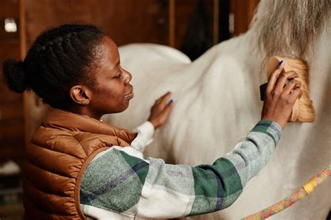 The Basics of Horse Grooming: Techniques for a Healthy Coat | Vetericyn