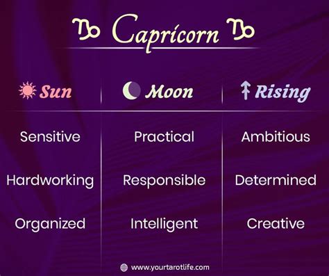 Capricorn Sun Moon Rising Traits Zodiac Sign Facts Moon Signs Astrology Signs