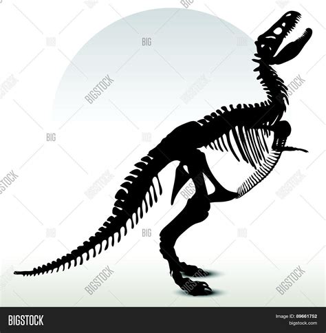 Dinosaurs Trex Vector And Photo Free Trial Bigstock