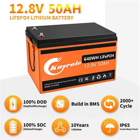 Lifepo Akku Lithium Batterie Mit Bms Solarbatterie F R Wohnmobil Boot