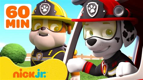 Patrulha Canina Novos Epis Dios Compila O Hora Nick Jr Em