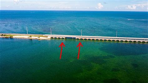 1st Time Fishing This Florida Keys Bridge Using Live Bait To Catch