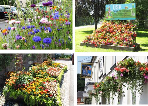 News Usk In Bloom