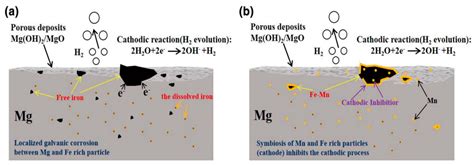 Coatings Free Full Text Corrosion And Protection Of Magnesium