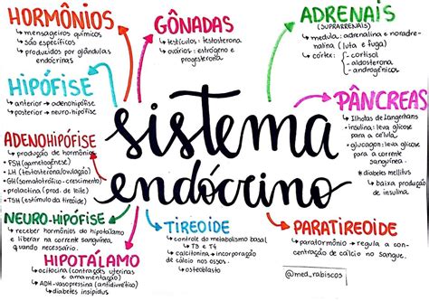 Sistema Endócrino Mapa Mental