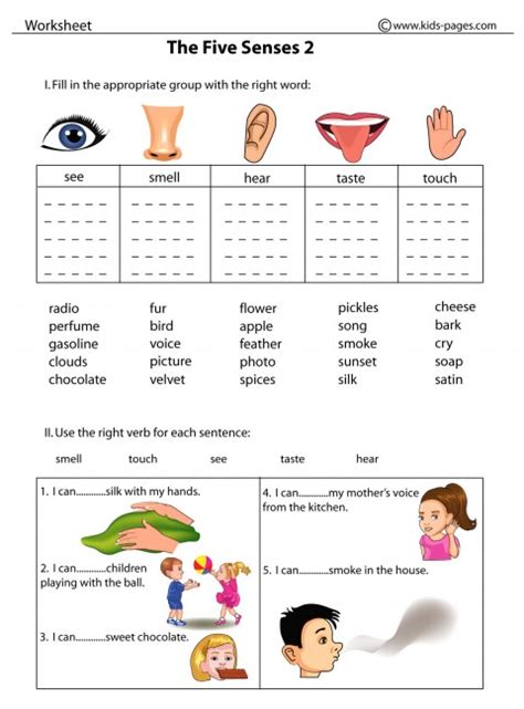 My Five Senses Worksheets