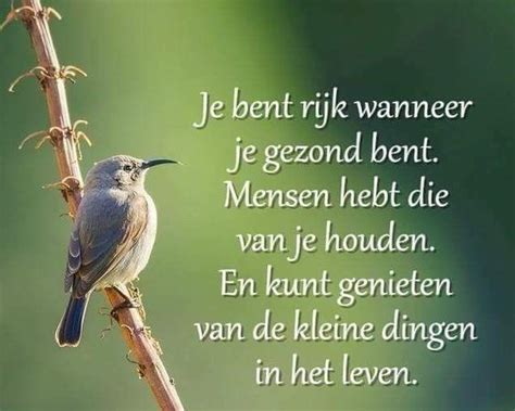 Pin By Marie Louise Peeters On Gezegde Dutch Quotes Life Quotes