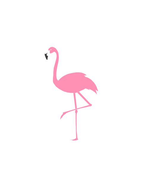 Flamingo Transparent Png Pictures Free Icons And Png Backgrounds