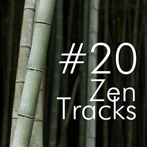 20 Zen Tracks New Age Instrumental Asian Music Asian