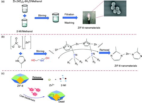 Two Methods For Constructing Zif 8 Nanomaterials With Good Bio Compatibility And Robust