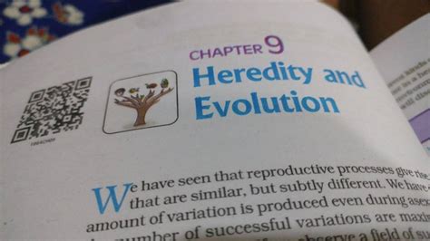 Chapter 9 Heredity And Evolution T That Are Seen That Reproductive Proce