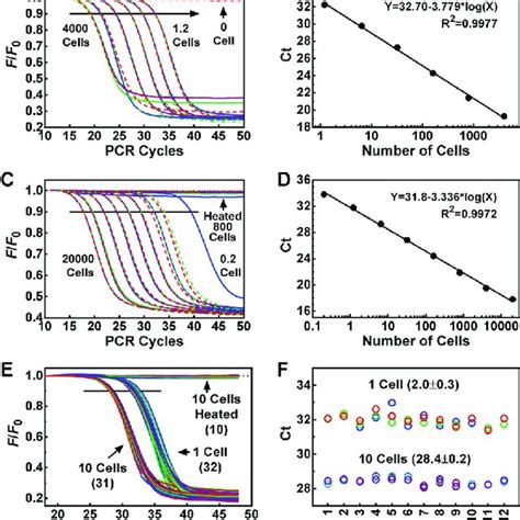 Measurements Of Telomerase Activity By TRAP A Primer Extension By