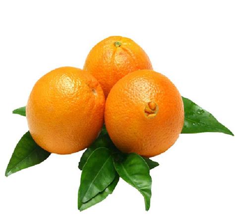 New Crop Delicious Navel Orange 56 64 72 15kg Carton China Price