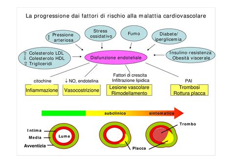 La Progressione Dai Fattori Di Rischio Alla Malattia Cardiovascolare