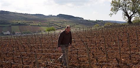 Domaine Rodolphe Demougeot Bodegas Y Vinos La Tintorer A Vinoteca