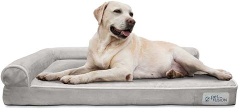 11 Best Dog Beds Australia 2023 Expert Guide Au