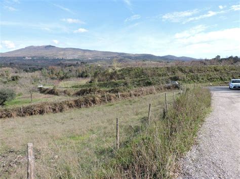 Terreno Agricolo Corso Rongolisi Sessa Aurunca Rif