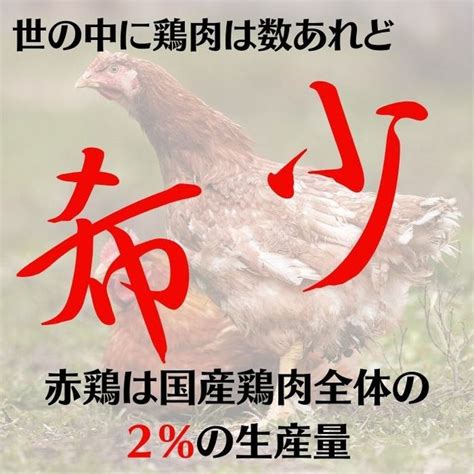 丹波赤どり むね肉 6kg セット（2kg ×3袋）京都亀岡丹波山本 《鶏 鶏肉 ムネ ムネ肉 業務用 訳あり》（京都府亀岡市） ふるさと