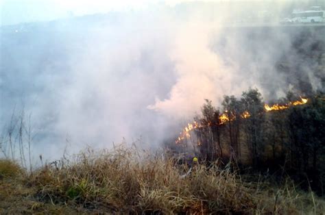 Incendios En El Delta Del Paraná “los Problemas De Salud Pueden Ser