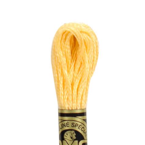 DMC 19 Medium Light Autumn Gold 6 Strand Cotton Floss Maydel