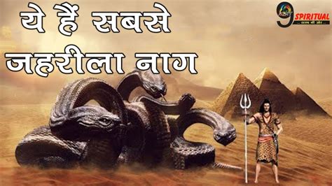 भगवान शिव के गले के सांप का रहस्य जानकर रह जायेंगे दंग Shiva Snake