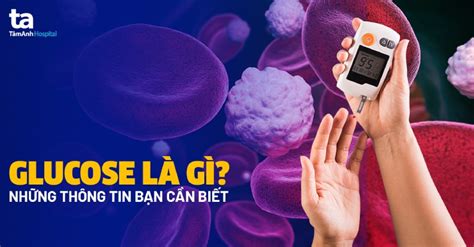 glucose  la gi hieu ro ve vai tro va  nghia cua glucose doi voi