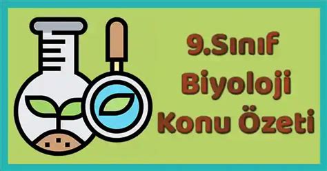 9 Sınıf Biyoloji 1 Ünite Konu Özeti pdf Mbsunu