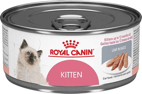 10 Best Kitten Foods of 2021 - Best Cat Foods Advisor