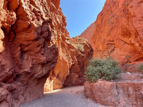 Quebrada de Las Tres Señoritas Cañon de Las 13 Vueltas 2025