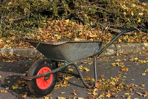 Wheelbarrows Wheelbarrow Leaves Free Photo On Pixabay Pixabay