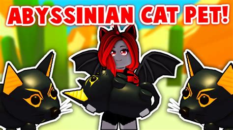 New Abyssinian Cat In Adopt Me Roblox Youtube