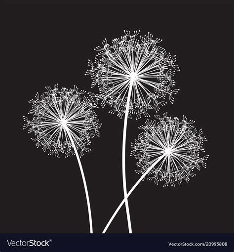 Black and white dandelion set Royalty Free Vector Image